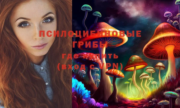 прущие грибы Алзамай