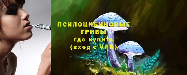 прущие грибы Алзамай