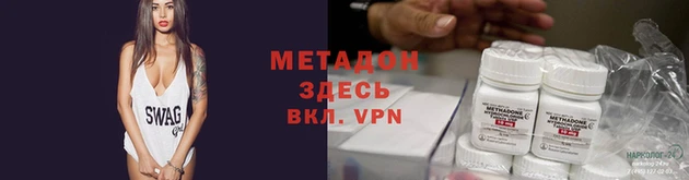 прущие грибы Алзамай