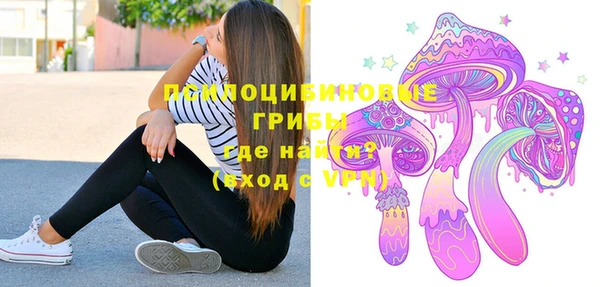 прущие грибы Алзамай