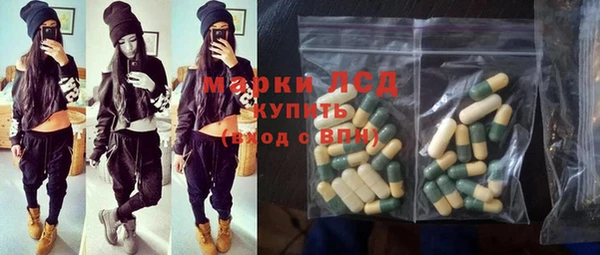 прущие грибы Алзамай