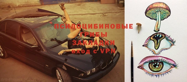 амф Алексин
