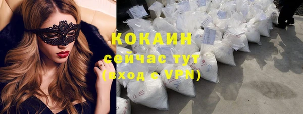 прущие грибы Алзамай